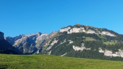WhatsApp-Bild-2024-09-08-um-14.19.01_f7ad3070