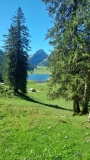 WhatsApp-Bild-2024-09-08-um-14.19.08_dd1329ae